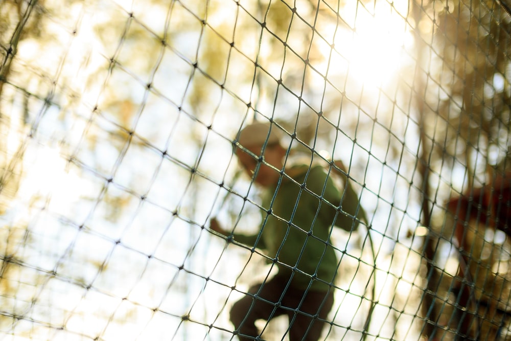 Cricket practice Nets